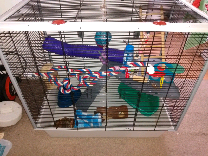 gumtree rat cage